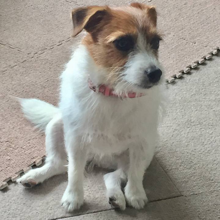 C49ff858 e901 4973 9991 bc5b43beb258