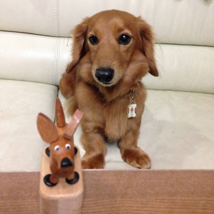 C4a14778 231c 4aec a533 bace071b2791