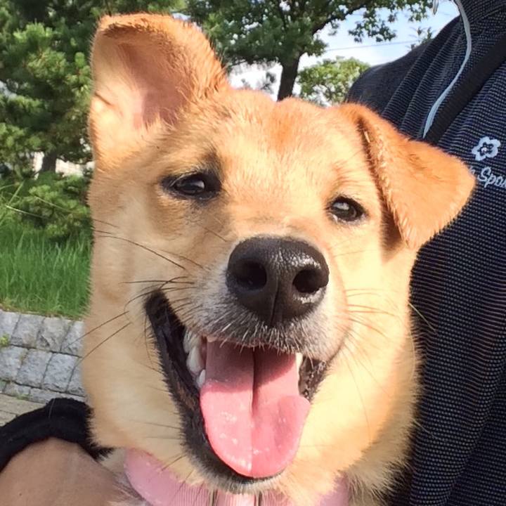 C4a19398 80e8 4077 a87f 0f7f94ef97ad