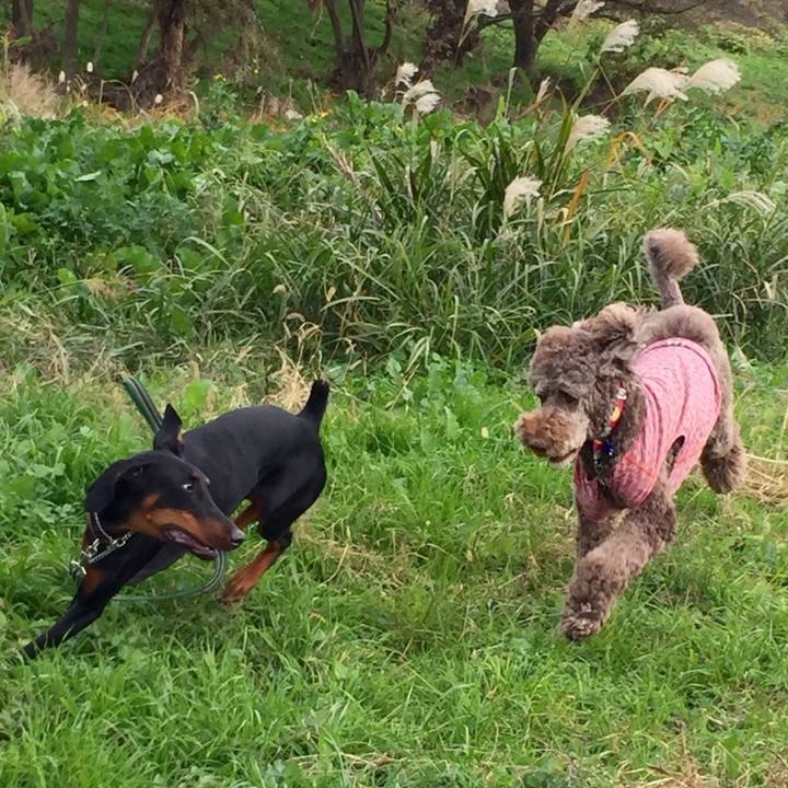 C4a2bbf2 2c31 4ae0 b2f2 8b649818e289