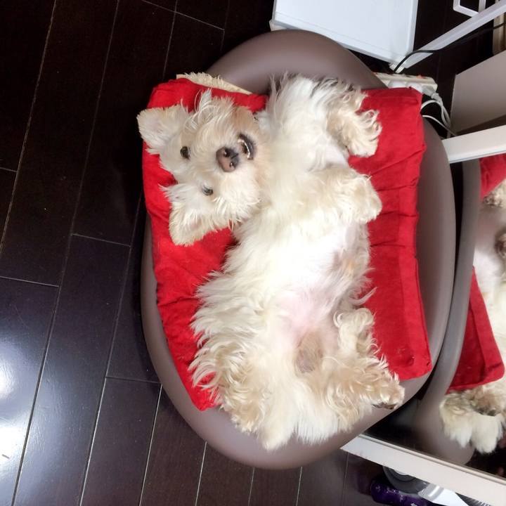 C4a2c214 0a3a 4fd0 9b01 63f282db9f43