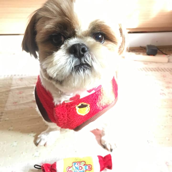 C4a410fb e716 47bc 8ca5 53d993712ea2