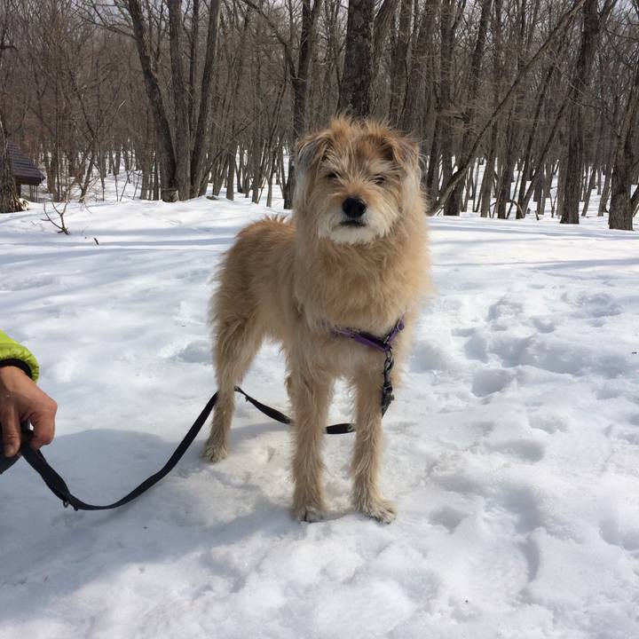 C4a5047f 1ca1 49dd 96f9 df6d0f4c3c8a