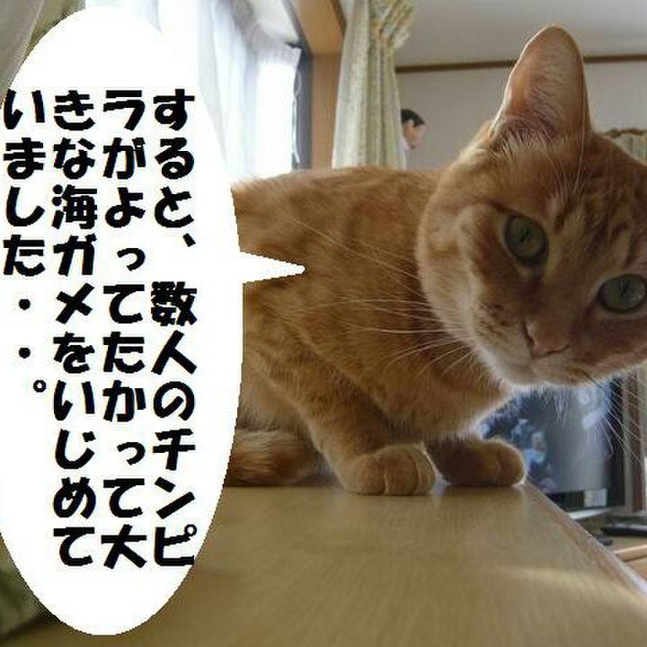 C4a50d54 2594 4b09 96fc e07dc2239258