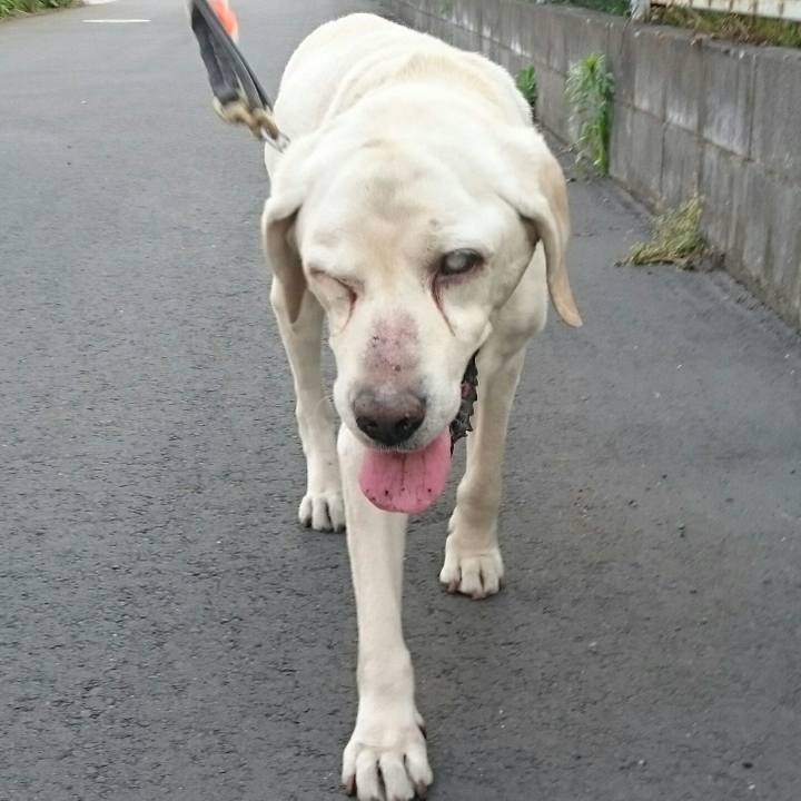 C4a56e7c ae66 463a 9374 0ad8d34ab522