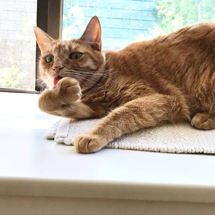 C4a6681f 4b8f 4c2a ad1c 9ffdee73cb33