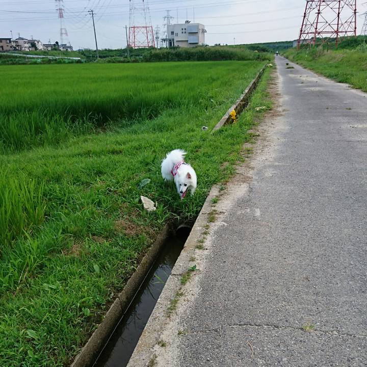 C4a6d1c5 71dd 4752 8aee 9c8fa3def220