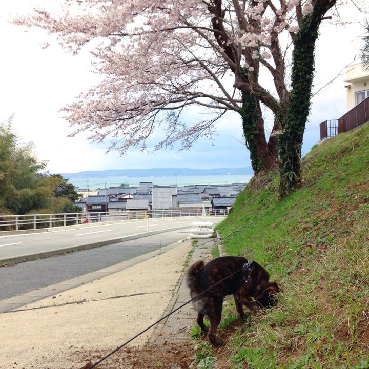 C4a792ad 241a 4eed 9ed1 3667ae003cbc