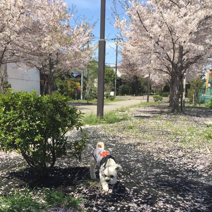 C4a7be48 a499 4cc9 b397 5062d7562da3