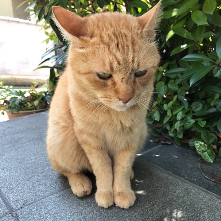 C4a7d9d3 904d 4c14 942c 10176ef3d8b5