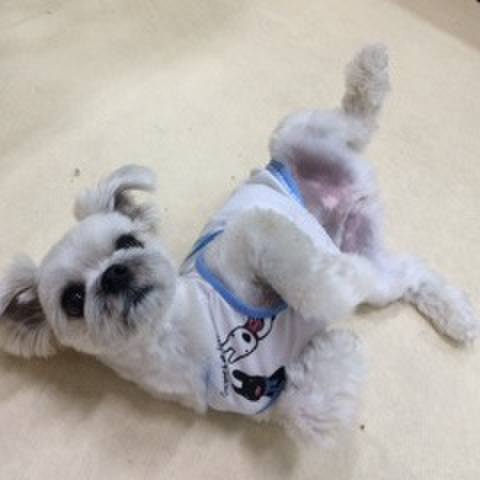 C4a7e191 4b7e 4a72 94b1 621acd8948ba