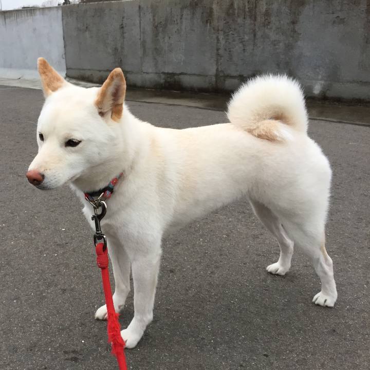 C4a80c80 cff5 464e a964 68429edd799e