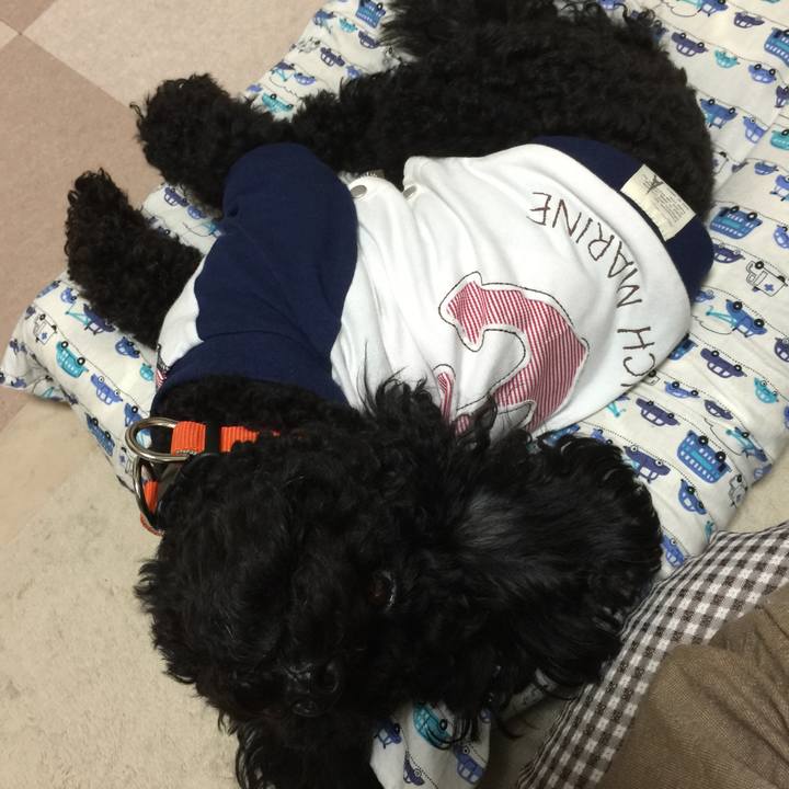 C4a81d8b 47e1 48ee a2eb b2f5e0d965dc