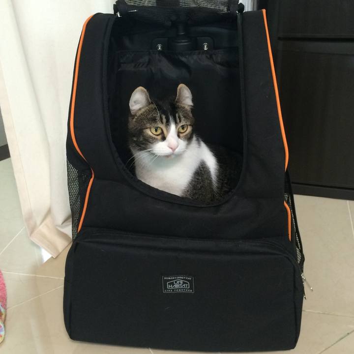 C4a8f442 a72d 43e9 8709 8c9602fd9eea