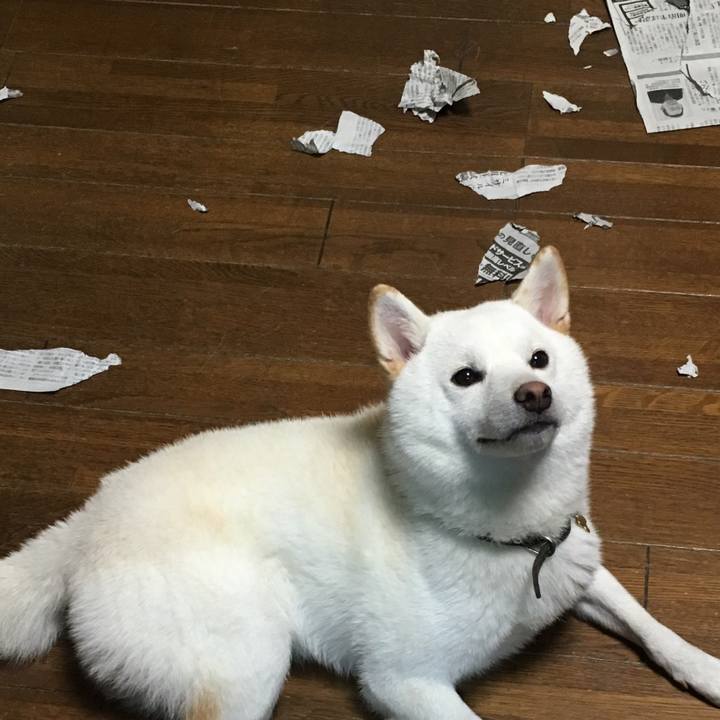 C4a99378 7f22 4c59 9313 6fbd386c7648