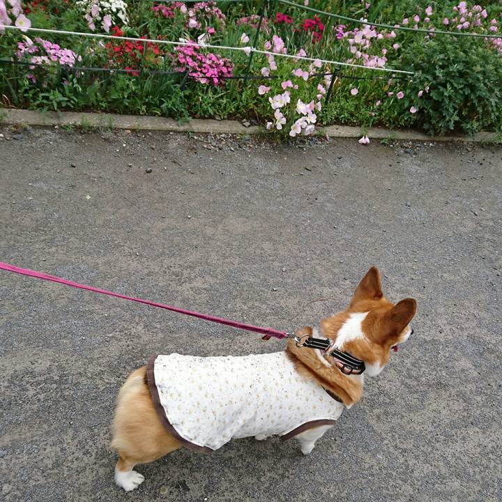 C4aa01b7 ccb8 468a 9d85 5b486947dd88