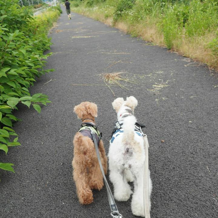 C4aa4cd6 2795 4154 a12a 2db2cc58b875