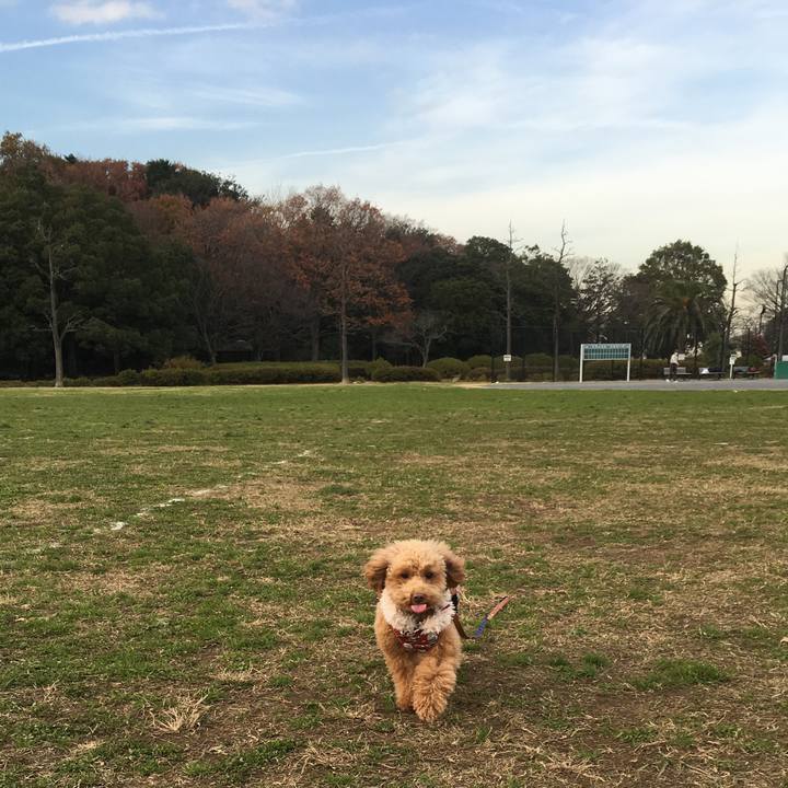 C4aa75a2 9ddf 4ebb b7af 2d6819c7abeb