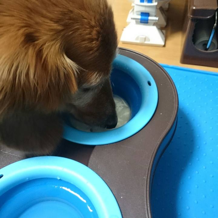 C4aae132 ac38 4527 8f68 89952820d3f5