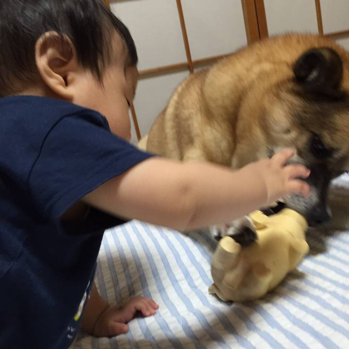 C4abb035 d241 40a0 9538 27daea1493e2