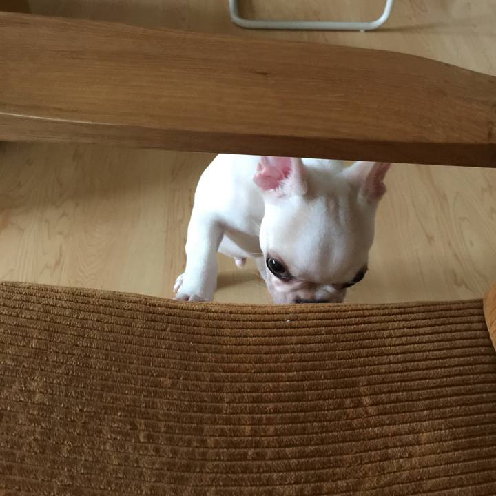 C4ac1e66 b38f 442e 816c 337647e82886