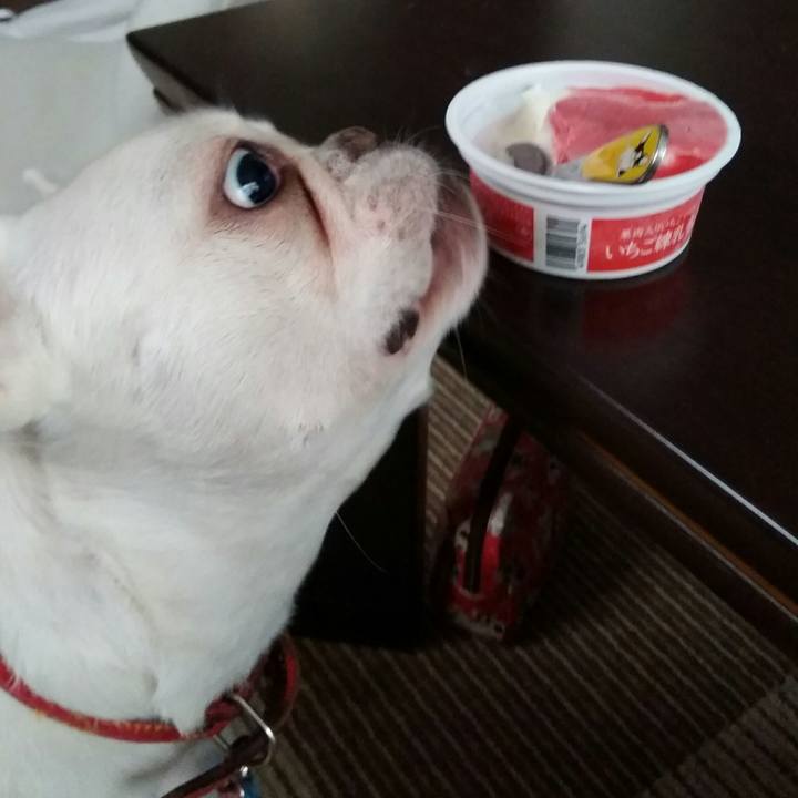 C4ac7398 343d 47aa 81d1 22da0fd959b5