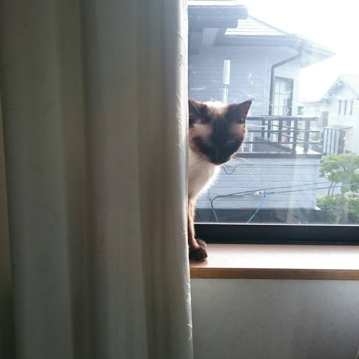 C4ad69b6 283a 4d1d 95ce b55026b129bf