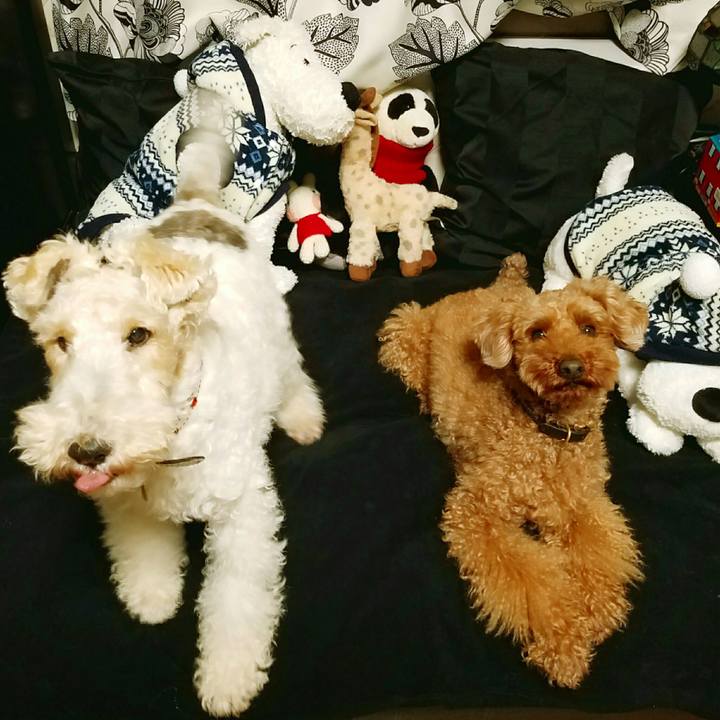 C4ad8049 4646 4740 b026 98e398424c03