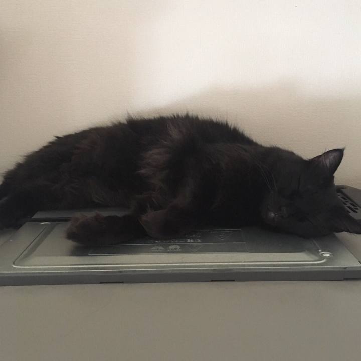 C4ad953a 136e 4d09 b460 49326291587d