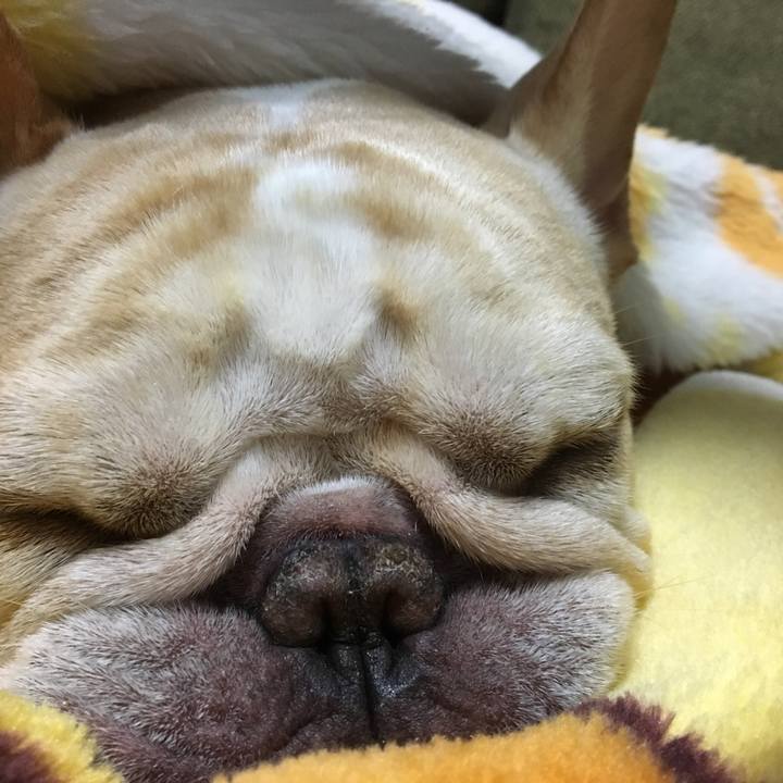 C4af0d03 0f16 4b1e 9acf a2d6871e09ac