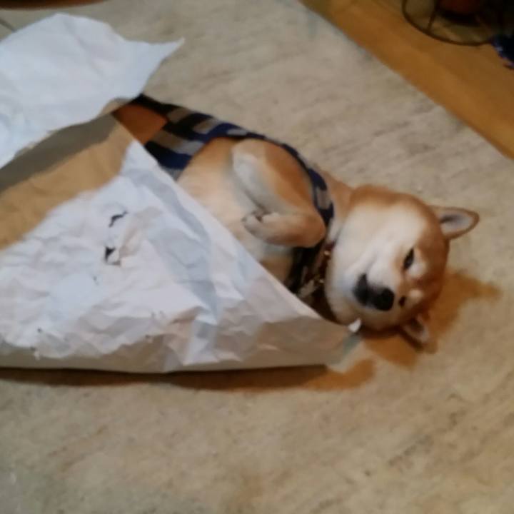 C4affca3 beb2 4ab9 a03c e8ed770c3068