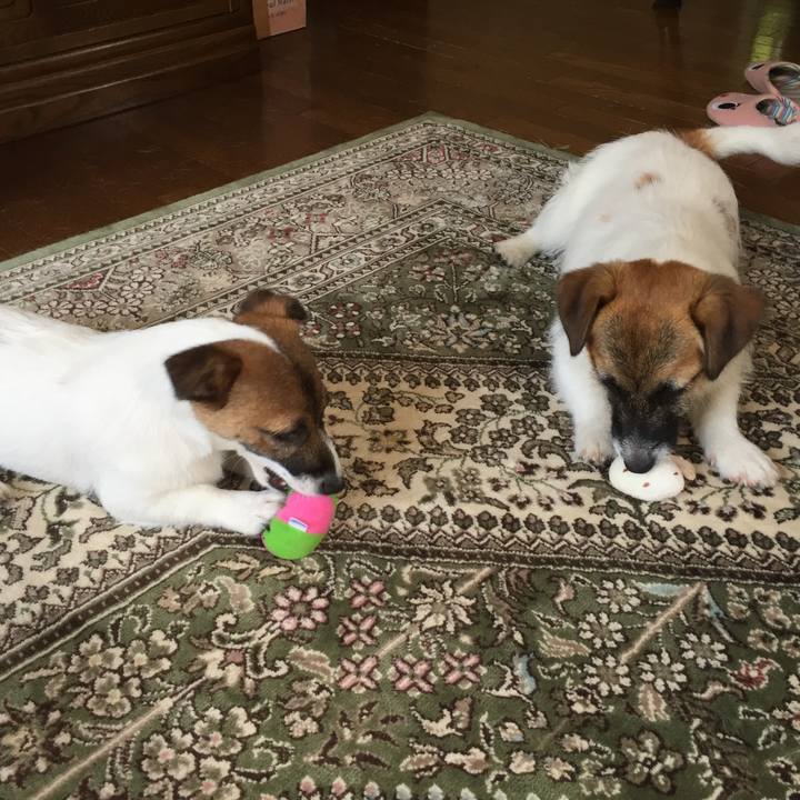 C4b001ca 287b 432a 8ede 7fa2717bc3b9