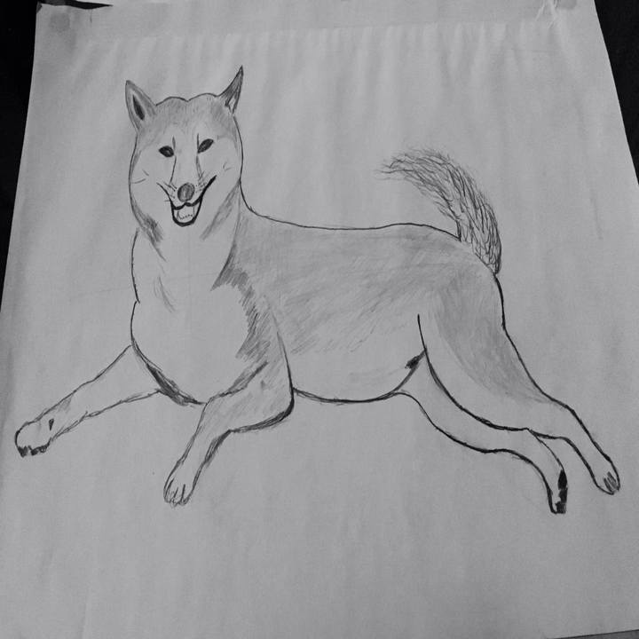 C4b05ae5 c270 49a5 8321 9608249e0d68