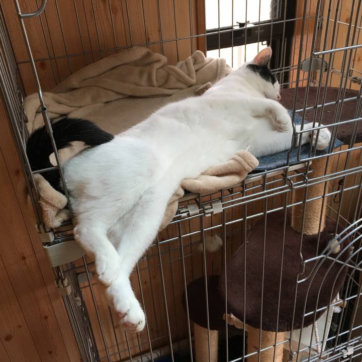 C4b16773 6884 4609 baf3 32b4bfda9578