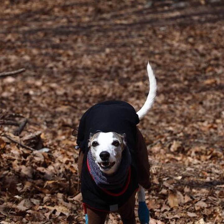 C4b1aa6e 850f 4fa6 98cf ed5679efd5b6