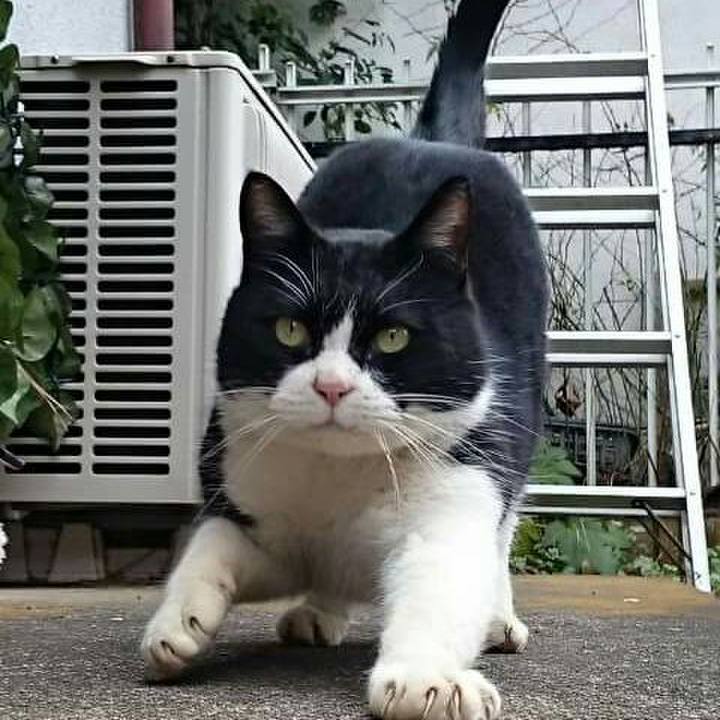 C4b1af77 1de0 457d 9517 40c14b8eaf4a