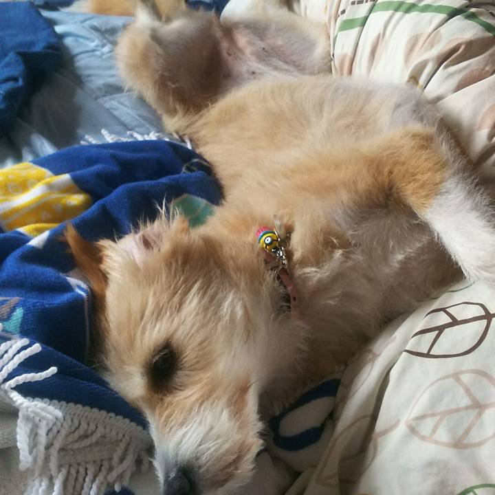 C4b1cf3f 4603 4ef6 9def 115833a639a5