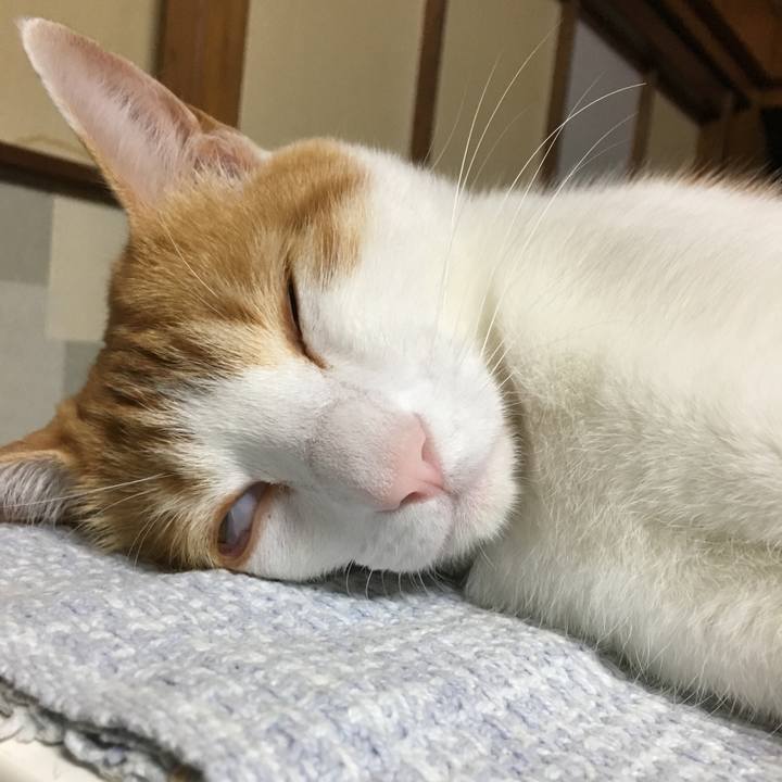 C4b2f8b7 61bf 48ee b3e3 5fb7c8eca466