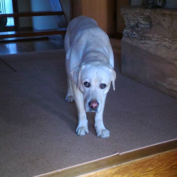 C4b33ac9 5ab7 4552 ba58 7b5b229177af