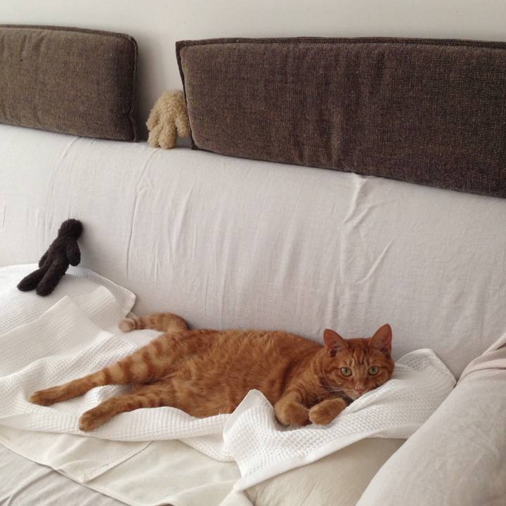 C4b366f0 5bf1 4527 b5e7 bc00c7f2e89b