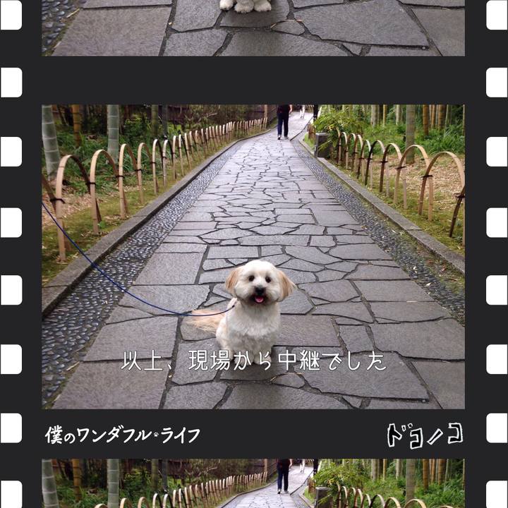 C4b3ec89 25e8 4944 865b 4c3011b7be40