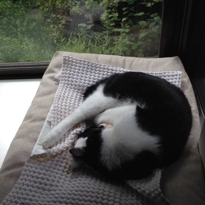 C4b3f002 959c 4a03 b108 351c3b14f28c