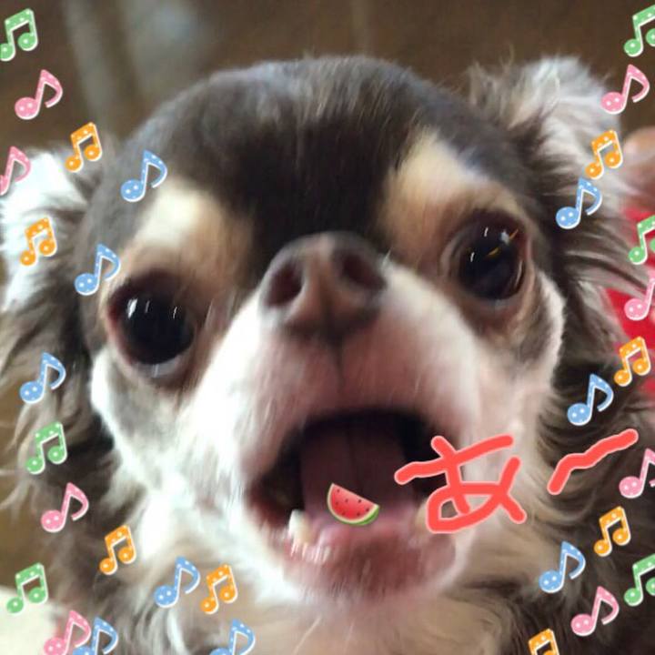 C4b672d9 b089 4c76 b4e0 740d858ca0f8