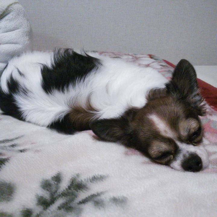 C4b71da9 fa1b 4439 811c 986306f2277d