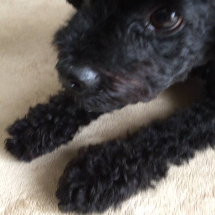 C4b748ad 04a4 4ec3 81a5 093d46be11f0