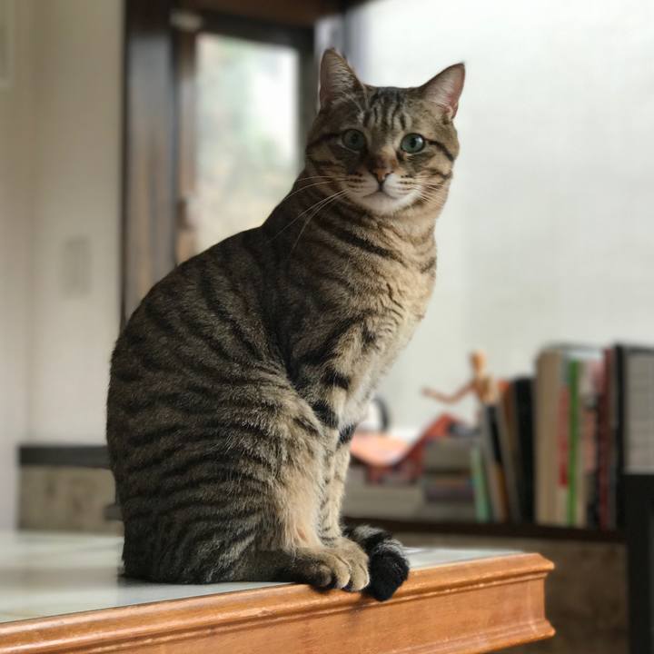 C4b76bc9 ae45 4d71 8f1b 96a3fd34310c