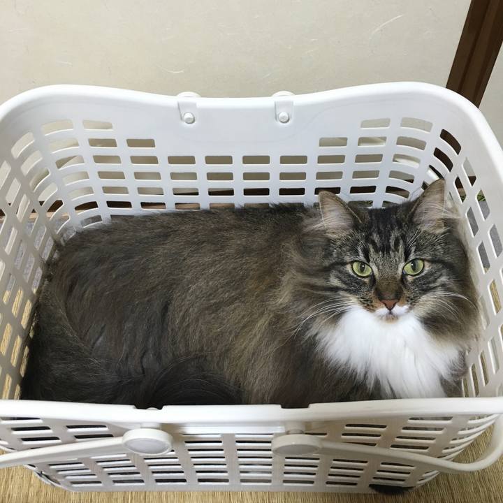 C4b79337 b38c 49d9 ba28 7f788b473972