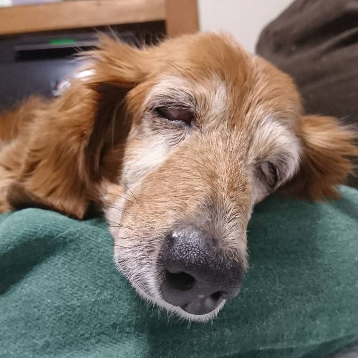 C4b7c4e1 4539 42ba 8bbb 8da20505e9a1