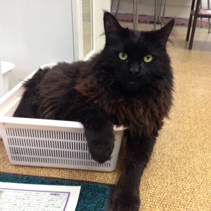 C4b86398 9981 42a8 97c9 4bd398713137