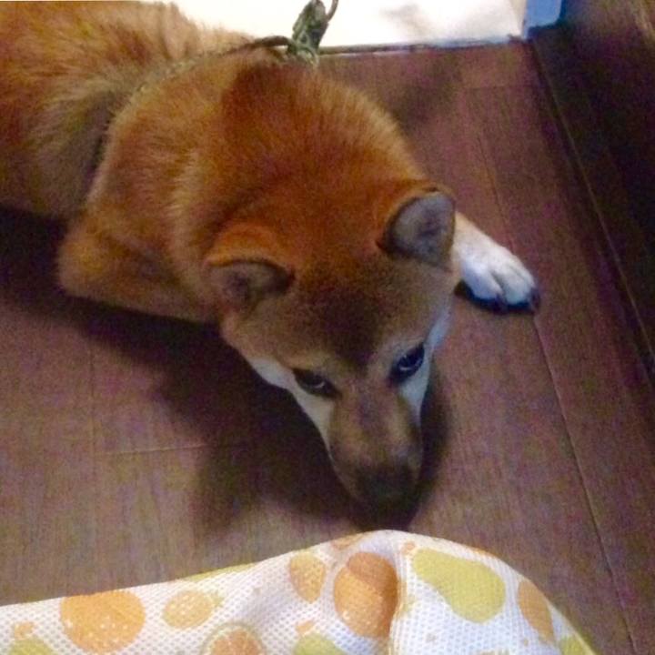 C4b9b446 3bd0 4bfa 8155 a64c8b0485d3